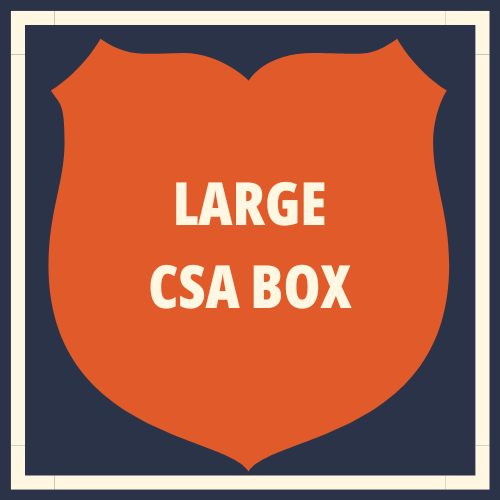 Large CSA Box